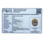 13 Mukhi Nepal Rudraksha (23.50 Mm) - Lab Certified Indra Mani