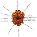 13-Mukhi-Nepal-Rudraksha-25.39-Mm-Desgin.jpg December 24, 2024 92 Kb