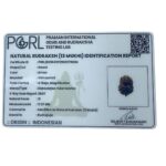 13 mukhi Indonesian Rudraksha (17.97 MM)