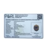 14 Mukhi Indonesian Rudraksha - ( 16.25 Mm )