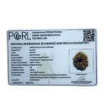 14 Mukhi Rudraksha Original With X Ray Certificate - (24.35 Mm) - (Rudrapuja)