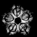 5 Mukhi Rudraksha 18.52 Mm X-Ray