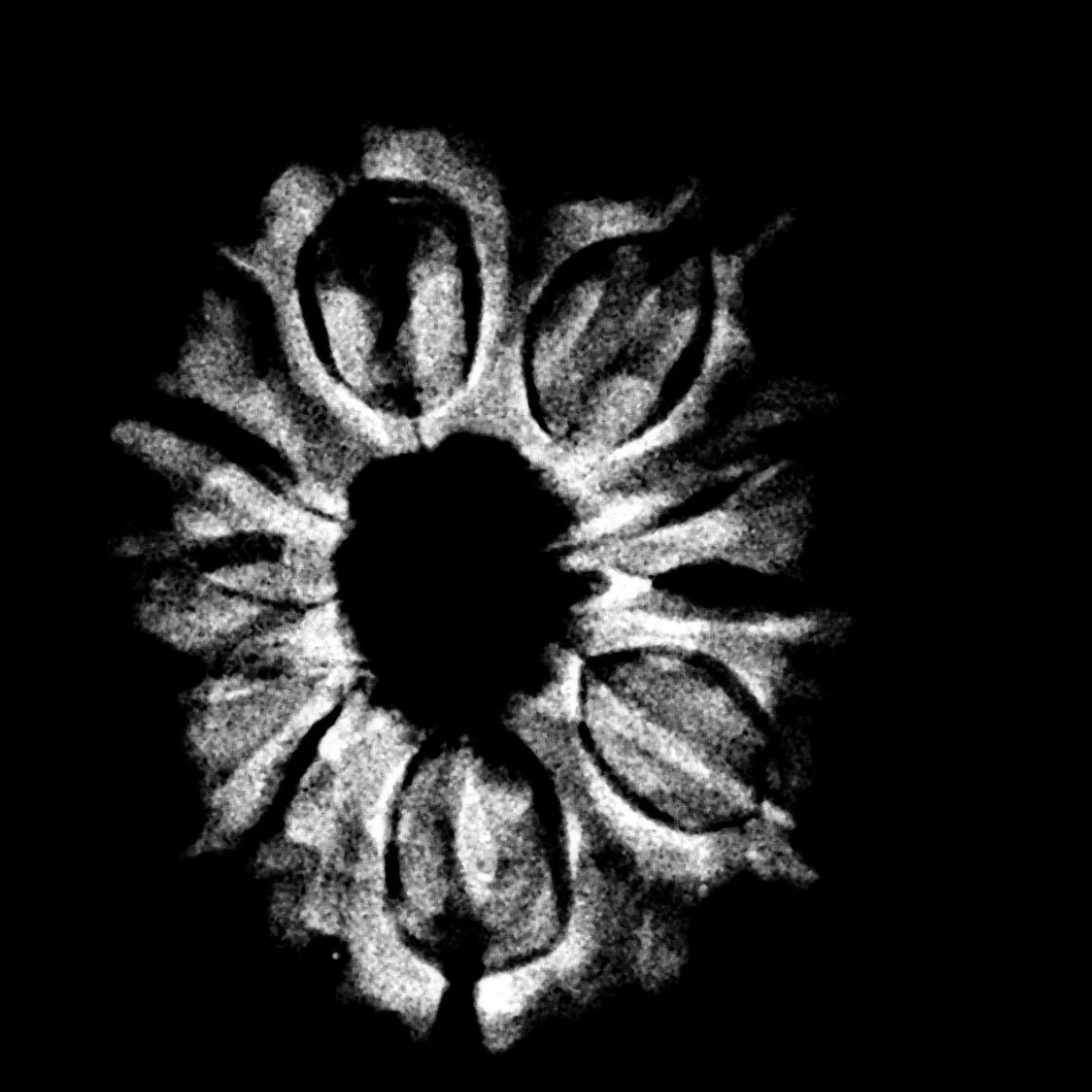 24.70 MM 10 Mukhi Nepal Rudraksha