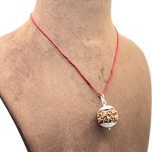 6 Mukhi Nepal Rudraksha With Silver Capping (20.23 mm)
