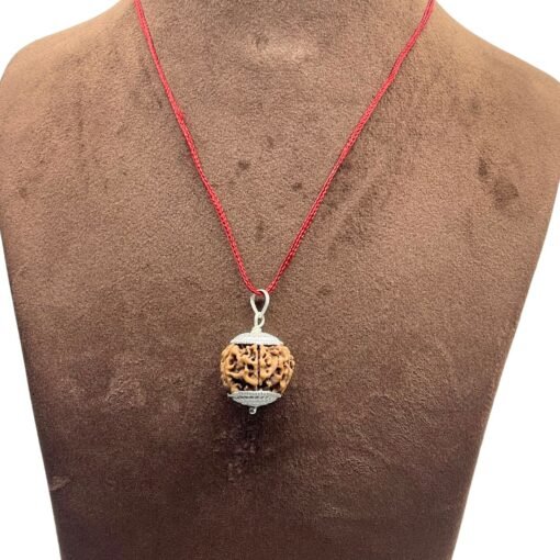6 Mukhi Nepal Rudraksha With Silver Capping (21.45 Mm)