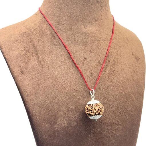 6 Mukhi Nepal Rudraksha With Silver Capping (21.45 Mm)