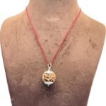 6 Mukhi Nepal Rudraksha With Silver Capping (21.45 mm)