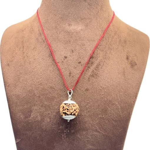 6 Mukhi Nepal Rudraksha With Silver Capping (21.45 Mm)