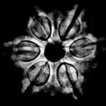 6 Mukhi Rudraksha Nepal (20.21 Mm) X-Ray