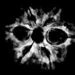 6 Mukhi Rudraksha Nepal - (20.71 Mm) X-Ray