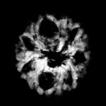 7 Mukhi Indonesian Rudraksha (18.55 Mm)