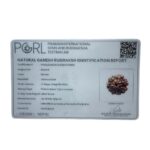 8 Mukhi Rudraksha Ganesha 22.38 mm