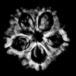 Collector 5 Mukhi Rudraksha Nepal - (23.68 MM) - (Rudrapuja)