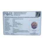 Collector 6 Mukhi Nepal Rudraksha - (23.88 MM)