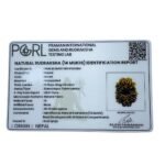 Fourteen Faced Rudraksha Nepal (25.05 Mm)