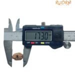 Fourteen Mukhi Indonesian Rudraksha (17.30 Mm) With X - Ray
