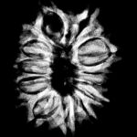 Fourteen Mukhi Rudraksha Nepal – (26.45 MM) x-ray