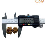 Gaurishankar Nepal Rudraksha (33.98 MM)