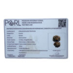 Gaurishankar Nepal Rudraksha (33.98 MM)