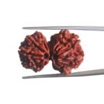 Gaurishankar Rudraksha Nepal (29.75 MM)