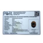 Indonesian Original 14 Mukhi Rudraksha - (17.70 MM)