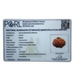 Original 11 Mukhi Rudraksha Indonesian (19.73 Mm)