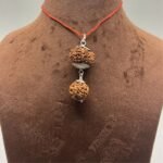 Rudraksha for Zodiac Aries (Mesh Rashi)