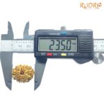 Thirteen Mukhi Nepal Large Rudraksha - ( 23.50 Mm )