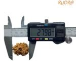 13 Mukhi Nepal Rudraksha ( 27.98 Mm ) 9 13 Mukhi Nepal Rudraksha ( 27.98 Mm )