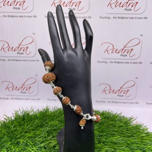 Exclusive 1 To 14 Mukhi Rudraksha Bracelet Silver Capped (Indonesian Beads)