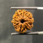 9-Mukhi-Rudraksha-Nepal-20.61-mm-With-X-Ray-SP-C.jpg October 26, 2024 176 KB