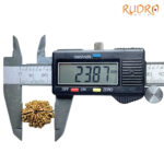 9 Mukhi Rudraksha Nepal - (23.87 MM ) With X - Ray