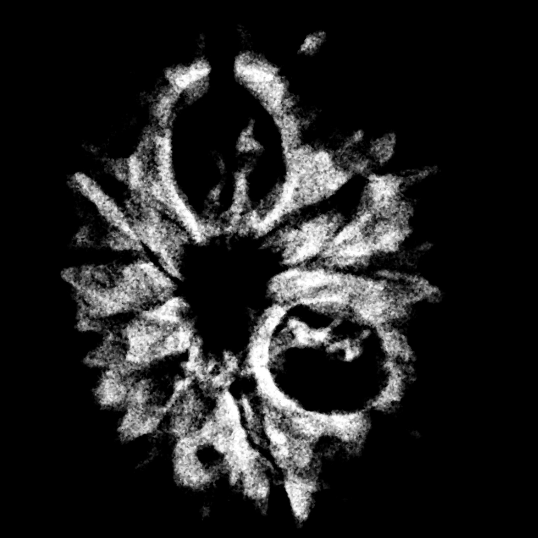 9 Mukhi Rudraksha Nepal - (23.87 MM ) With X - Ray