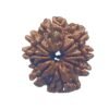 9 Mukhi Rudraksha Original Nepal - ( 24.60 Mm ) 13 9 Mukhi Rudraksha Original Nepal - ( 24.60 Mm )