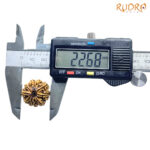 Collector 10 Mukhi Nepal Rudraksha Original - (22.68 MM) With X - Ray - (Rudrapuja)