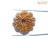 10 Face Rudraksha / 10 मुखी रुद्राक्ष नेपाल (27.00Mm) With X - Ray 12 10-Face-Rudraksha-10-मुखी-रुद्राक्ष-नेपाल-27.00Mm-With-X-Ray-Rp-C.jpg