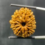 Ten-Mukhi-Rudraksha-दस-मुखी-रुद्राक्ष-26.02-mm-SP-C.jpg October 24, 2024 169 KB