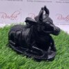 Black Jade Nandi 5.75 Inches 1698 Grams