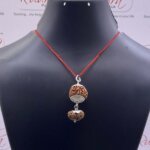 Rudraksha for Aquarius (Kumbha rashi)