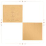 Trishul Bisa Yantra Gold Yantra
