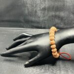 5 Mukhi Rudraksha Bracelte Dp C