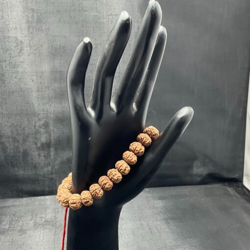 5 Mukhi Rudraksha Bracelte RP C