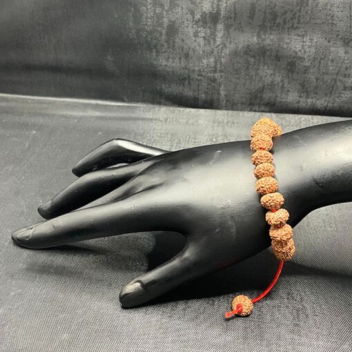 9 Mukhi Rudraksha Bracelet DP C