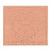 Shatru Nashak Yantra - 3 Inches