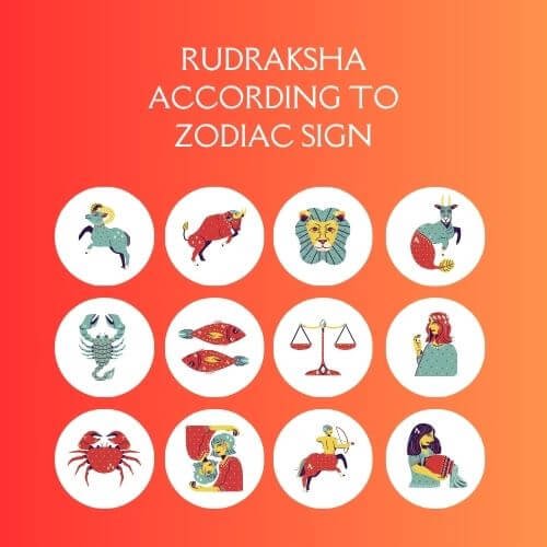 rudraksha-according-to-zodiac-sign