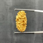 1-Mukhi-Rudraksha-Nepal-Small-24.91-Mm-Sp-C.jpg October 16, 2024 155 Kb
