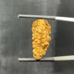 1-Mukhi-Rudraksha-Small-25.43-Mm-Sp-C.jpg October 17, 2024 157 Kb