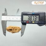1-मुखी-रुद्राक्ष-38.73Mm-4-C.jpg February 28, 2025 820 Kb
