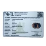 16 Mukhi Rudraksha Indonesian (18.02 Mm) 11 16 Mukhi Rudraksha Indonesian (18.02 Mm)