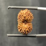 16-mukhi-rudraksha-Indonesian-19.62-mm-SP-C.jpg October 18, 2024 164 KB